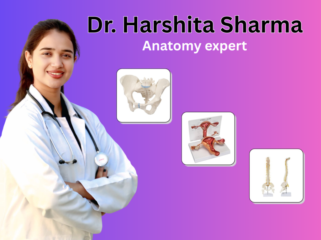 Prenatal Yoga Teacher Training Course